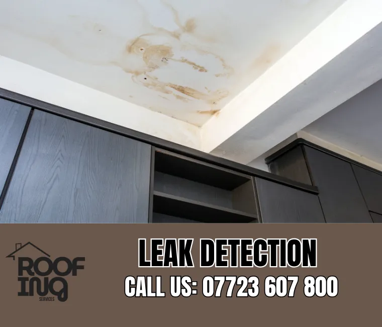 Roof Leak Detection in Port Isaac