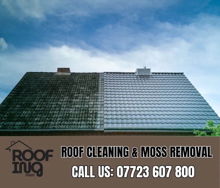 Roof cleaning and moss removal in Port Isaac